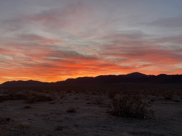 Meet your Posher, Johnny - Picture 10 of 16